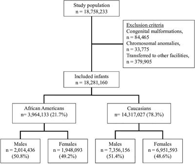 Caucasian and African American racial disparity in neonatal hospital mortality